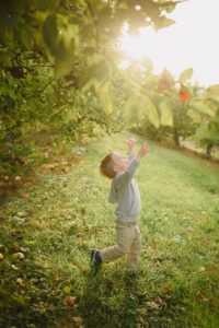 Family Photographers Near me