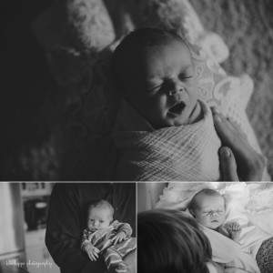 best newborn Photography Pittsburgh
