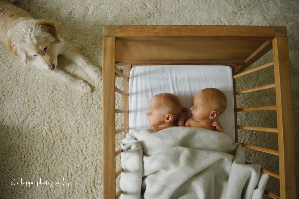 Newborn Twin photography shoot