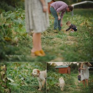 Childrens Family photographer Pittsburgh