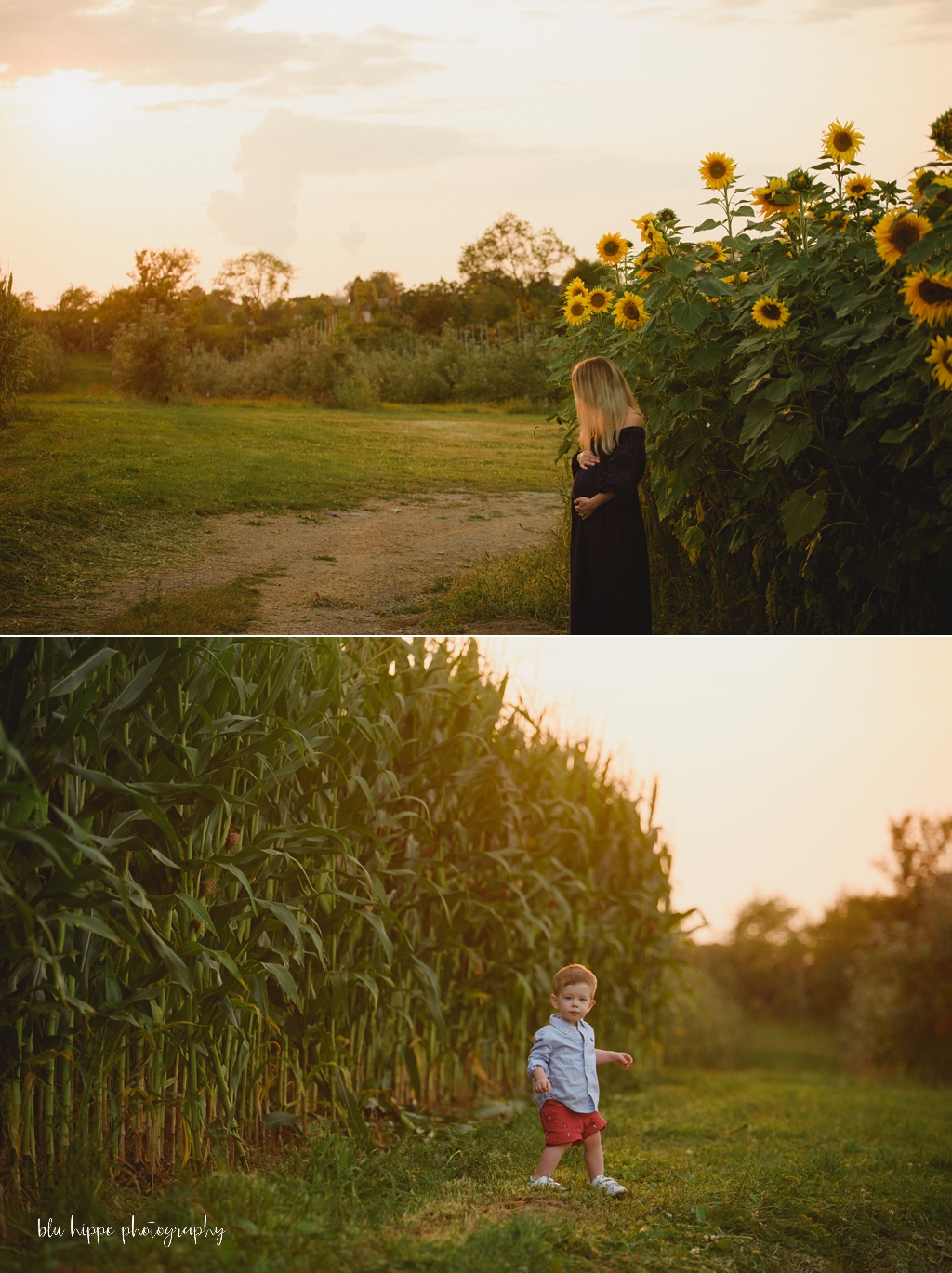 Maternity Photography pittsburgh 