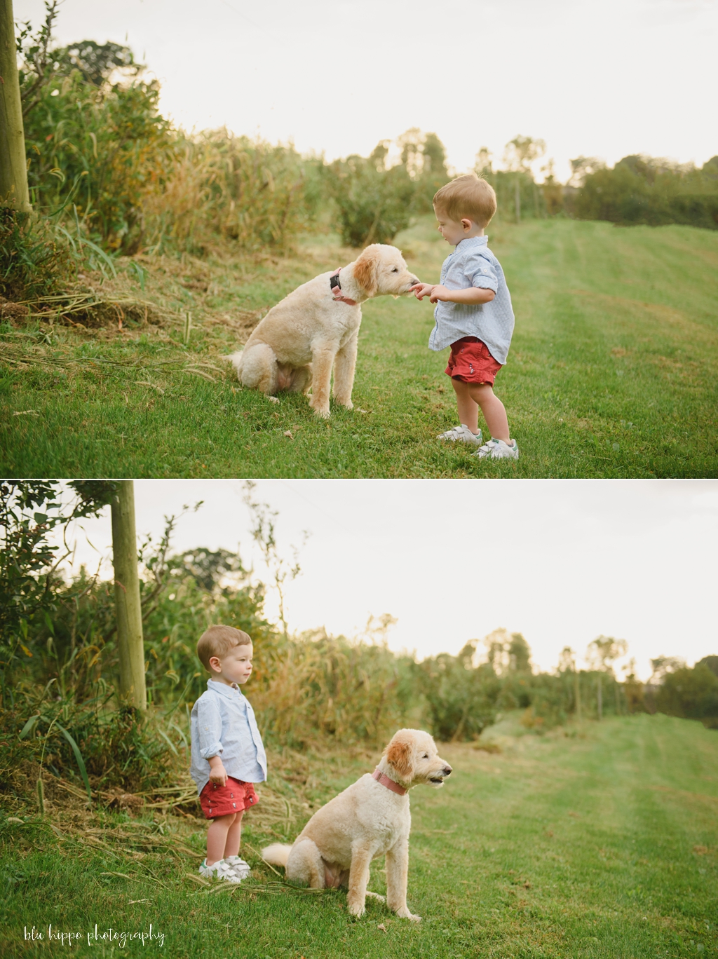 a boy and his dog