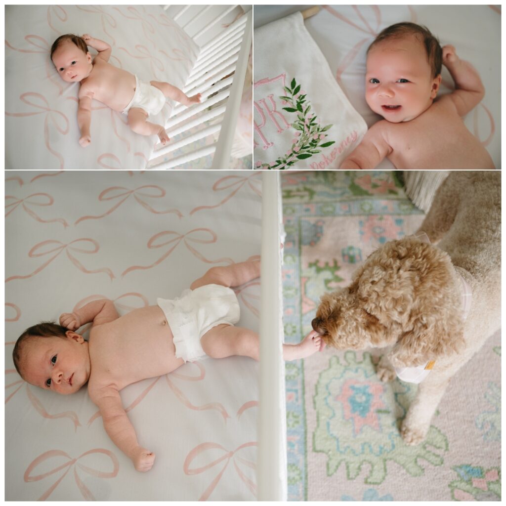 Newborn baby and lifestyle photographer