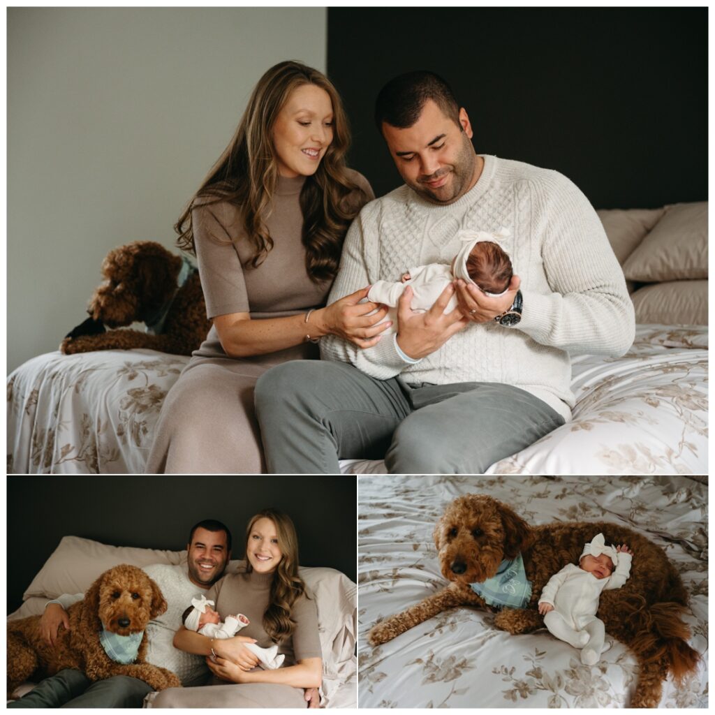 Pittsburghs best perfect newborn photographer